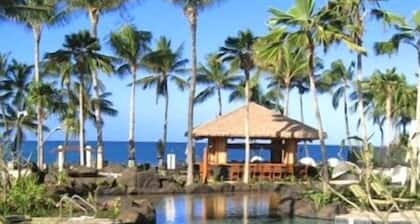 3 cac / 3bath directement sur la plage