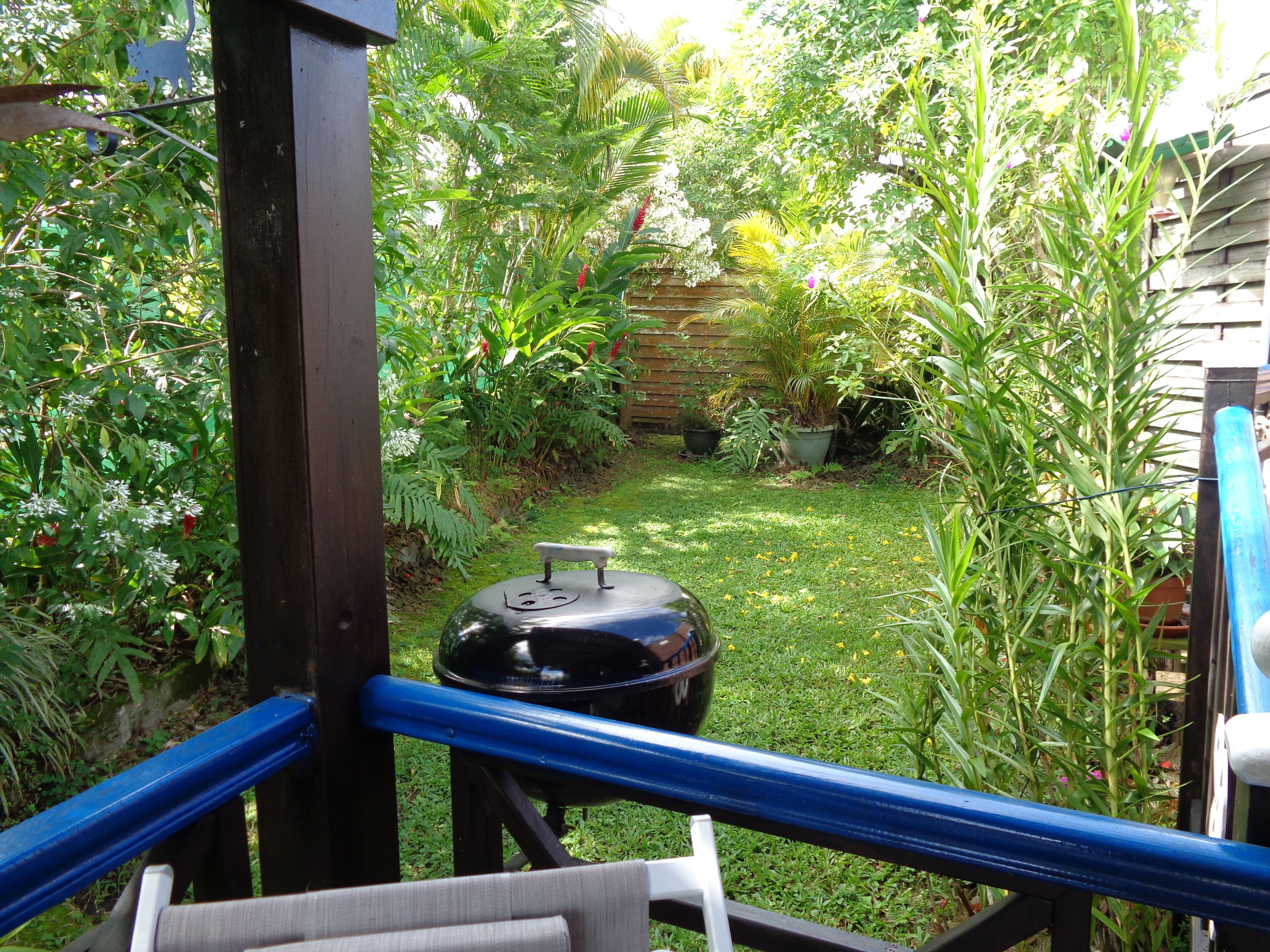 A garden with a barbecue grill, wooden fence, and various plants.