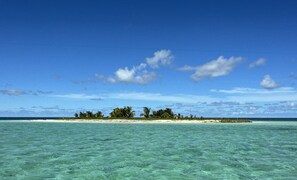 Una vista despejada de una playa con agua turquesa y una pequeña isla con árboles.