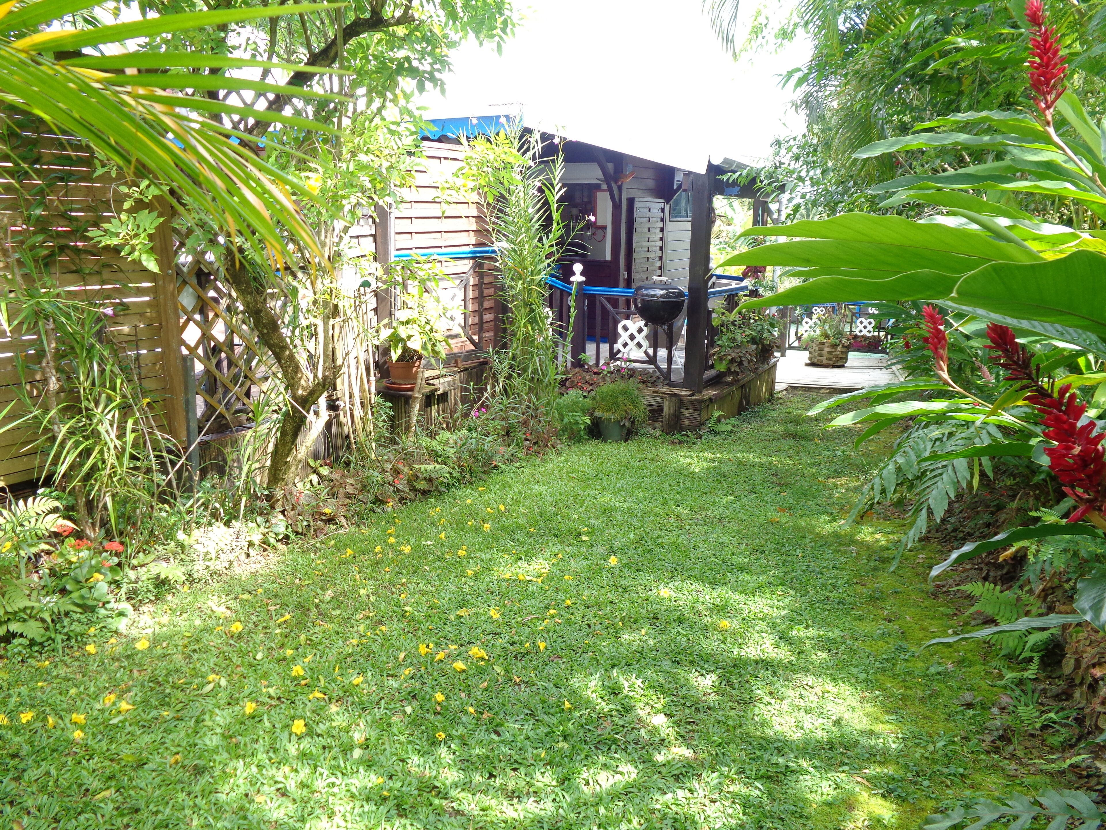 A lush garden with a wooden deck, a barbecue grill, and various plants.