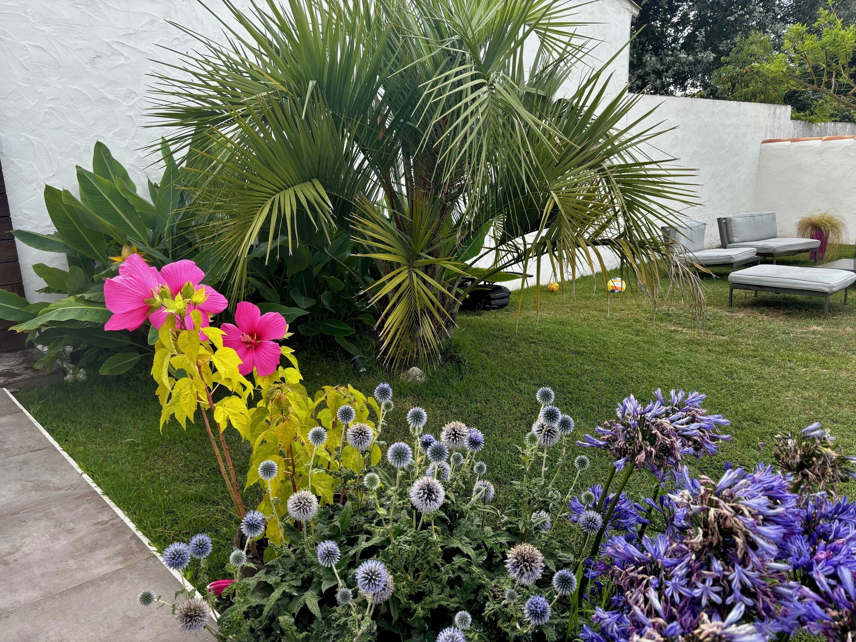 Ein Garten mit unterschiedlichen Pflanzen und einer weißen Wand im Hintergrund.