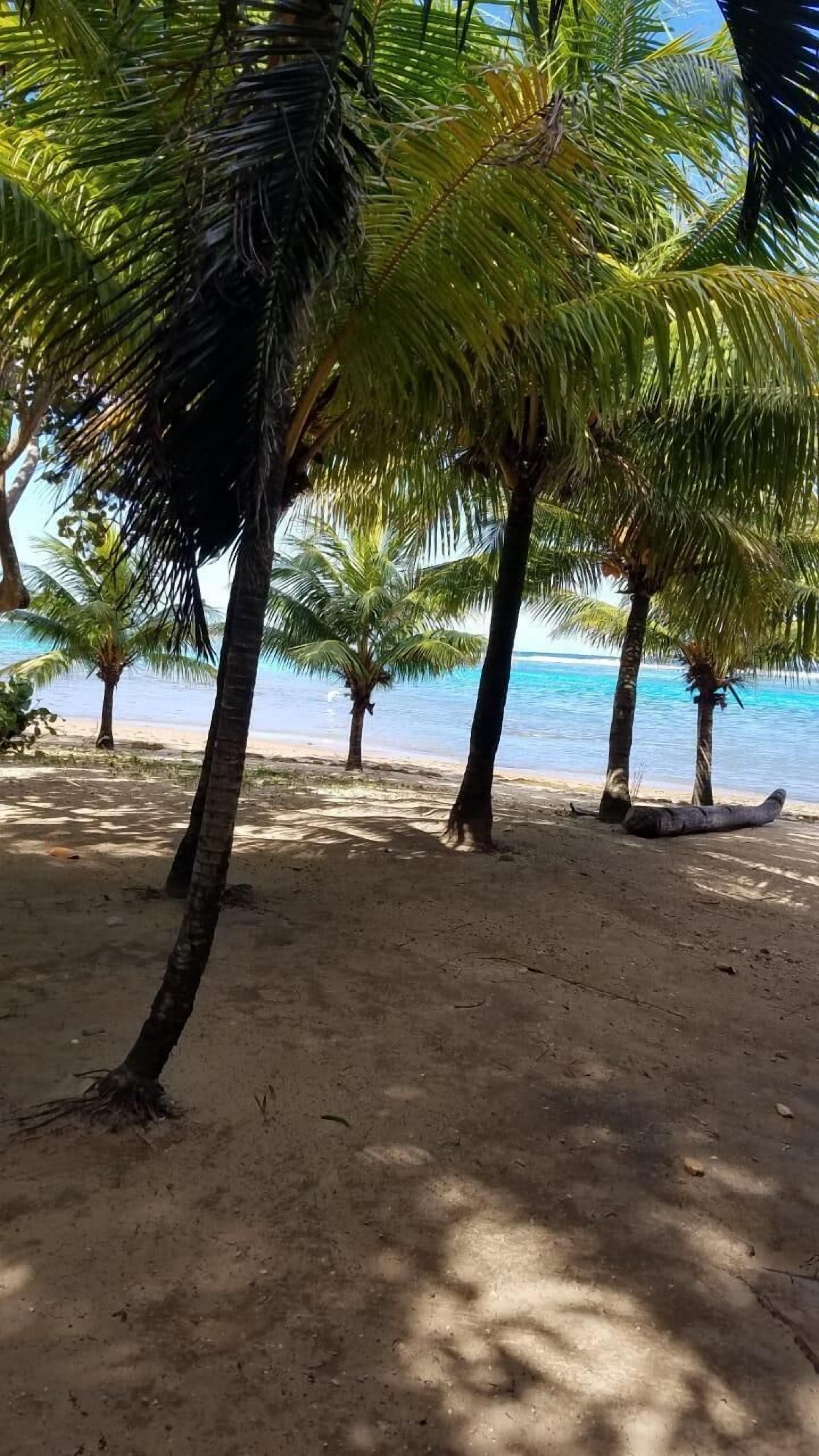 Am Strand, Strandtücher