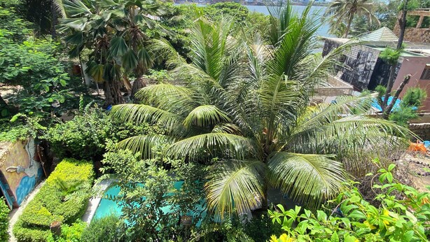 A lush garden with palm trees and a view of a cityscape in the background. - Studio le petit Marrakech, ILE DE NGOR Private boat swimming pool and Jaccuzi Air conditioning (Dakar)