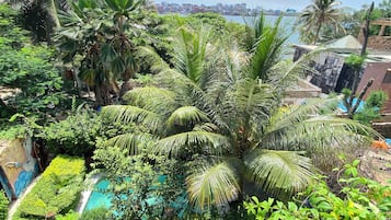 Alberca techada