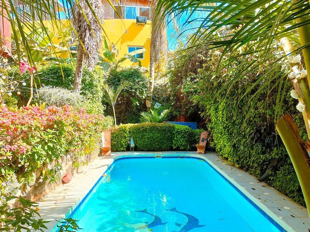 A swimming pool surrounded by lush greenery and a yellow building.
