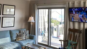 Smart TV, DVD player, books, stereo