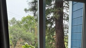 Un balcon avec une chaise, une petite table ornée d’une plante, et une vue sur des arbres et un immeuble.
