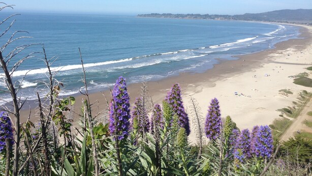 Plage