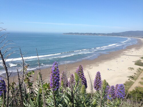Cozy Quiet Cottage Close to Trails, Wine Country & SF and Lots of Light!