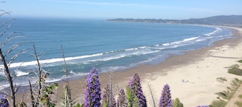 Cozy Quiet Cottage Close to Trails, Wine Country & SF and Lots of Light!