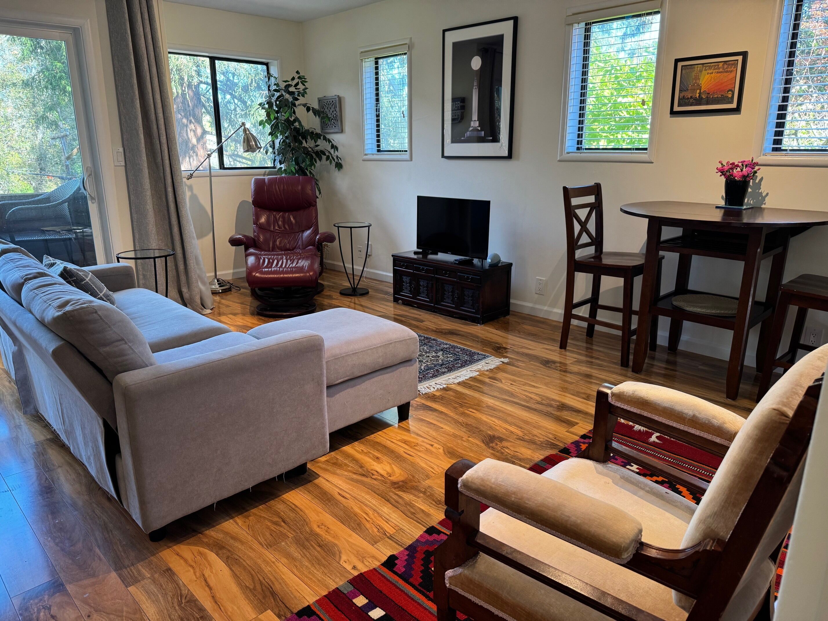 Televisión, reproductor de DVD, libros y biblioteca musical 