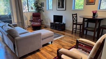 TV, DVD player, books, music library