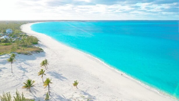 Een strand met helder turquoise water, wit zand en palmbomen.