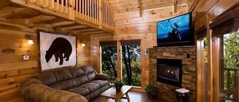 Télévision, cheminée, console de jeux vidéo, lecteur de DVD