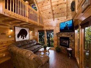 TV, fireplace, video-game console, DVD player