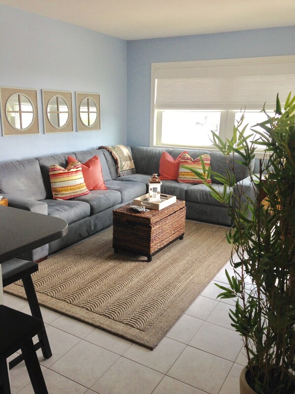 A living room with a grey sofa, a woven coffee table, a potted plant, and a window with blinds.