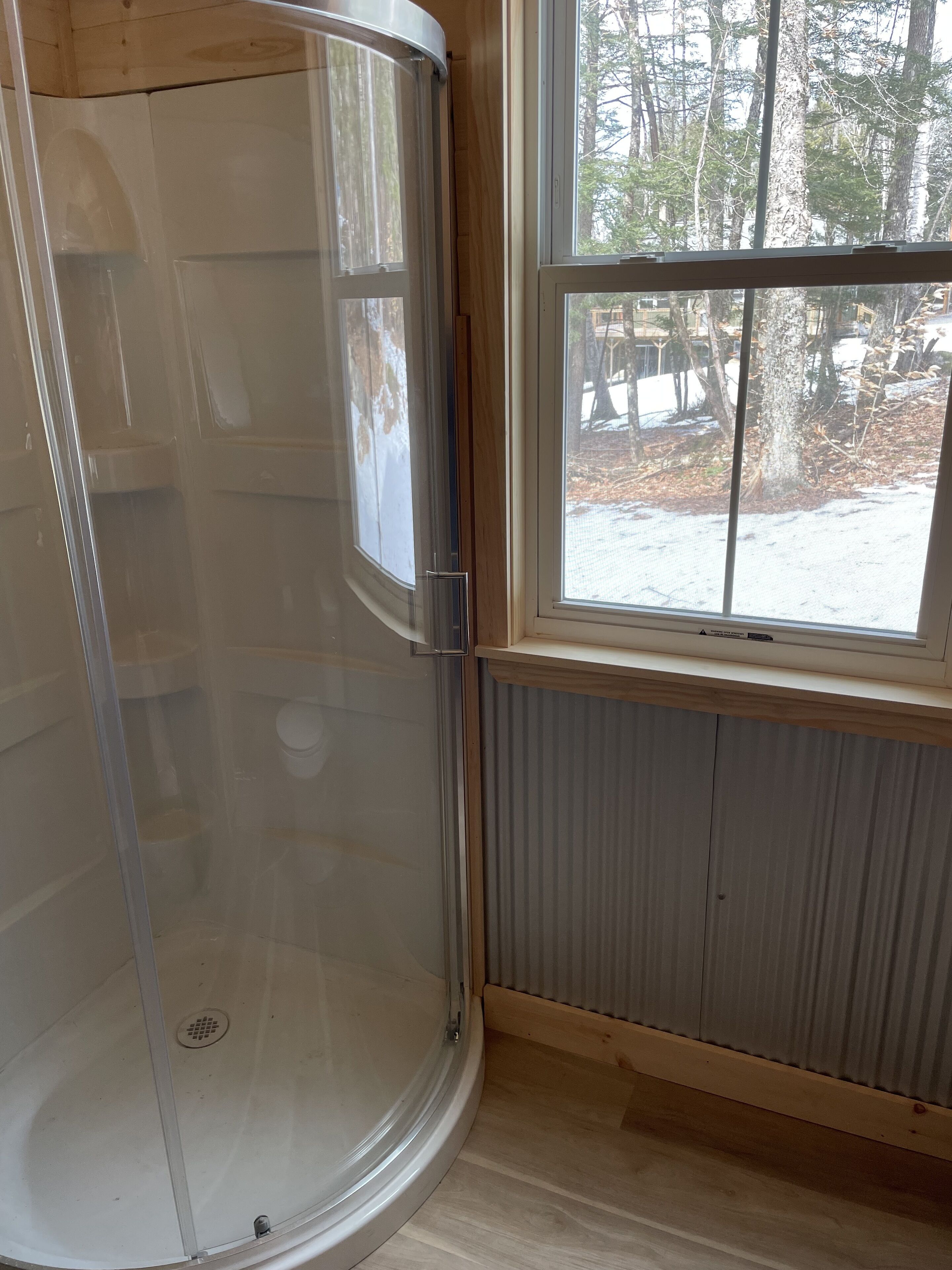 A corner of a room with a glass shower enclosure, a window with a view of trees and a snow-covered ground, and wooden paneling on the walls.