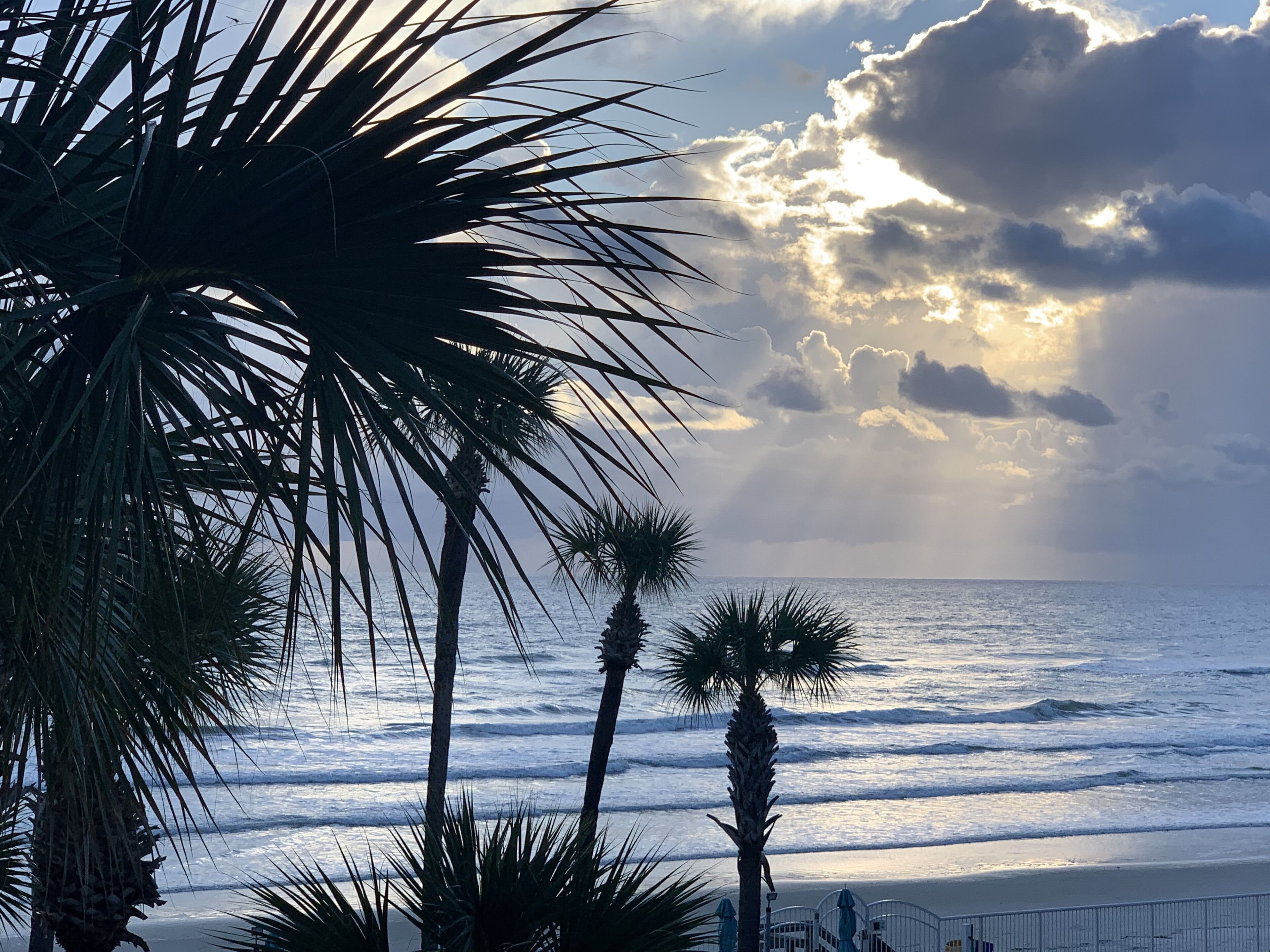 On the beach, sun loungers, beach towels