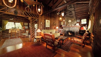 Smart TV, fireplace, books