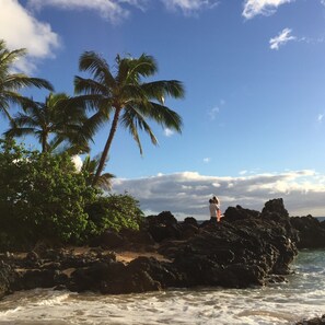 Nær stranden, solsenger og strandhåndklær