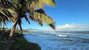 Sun loungers, beach towels