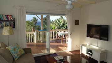 Smart TV, DVD player, books