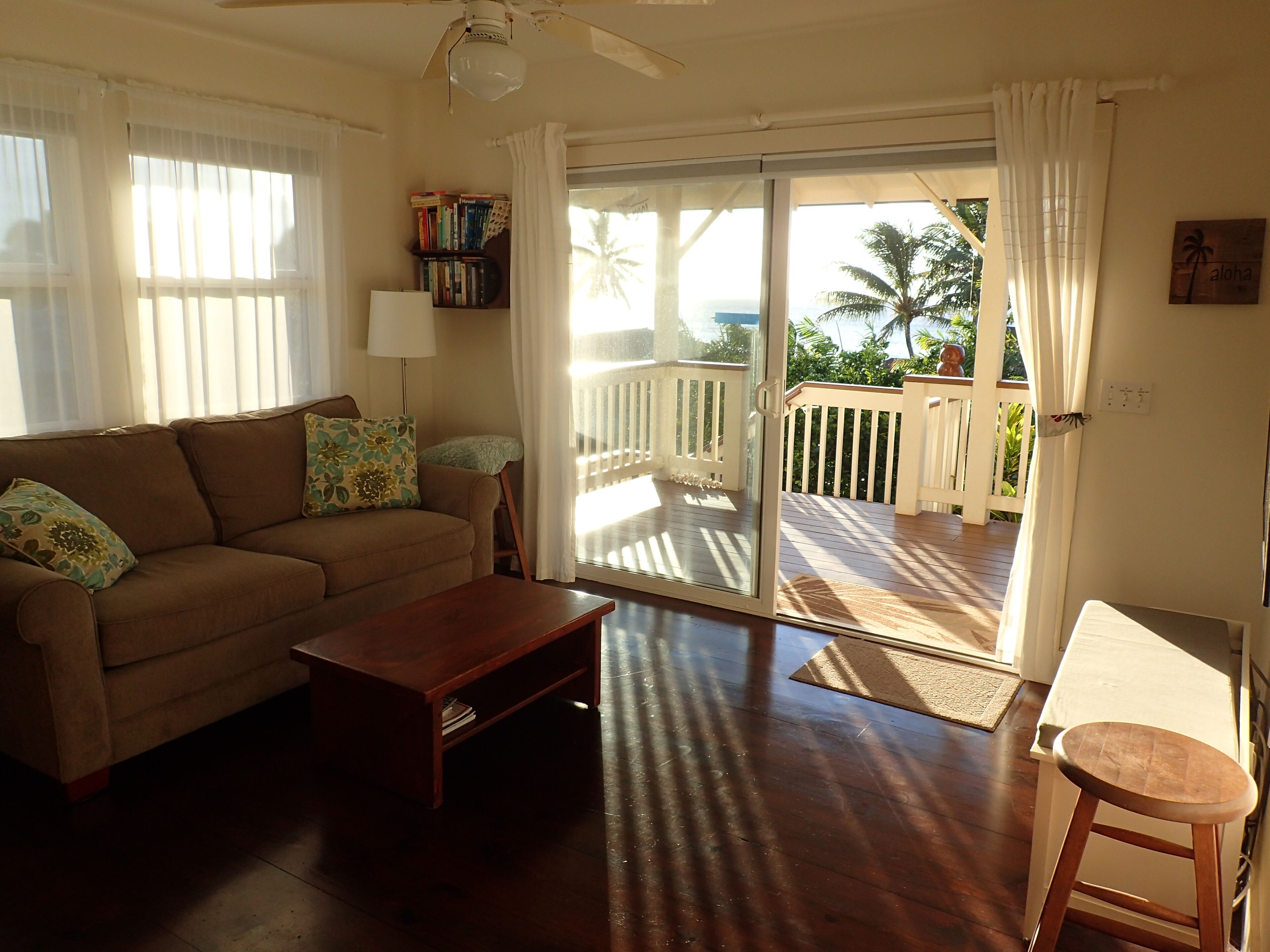 智能電視、DVD 播放機、書籍