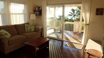 Smart TV, DVD player, books