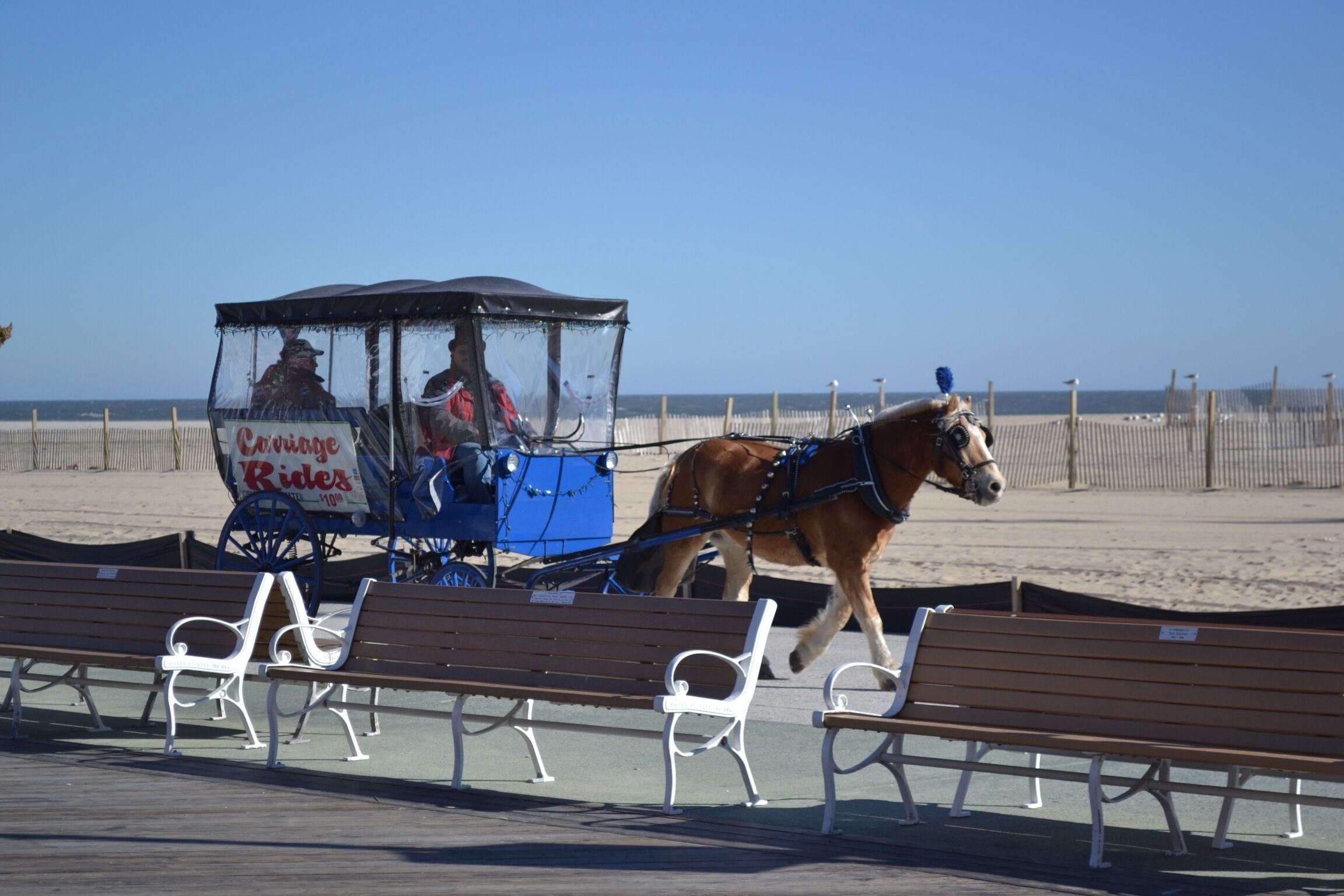Strand