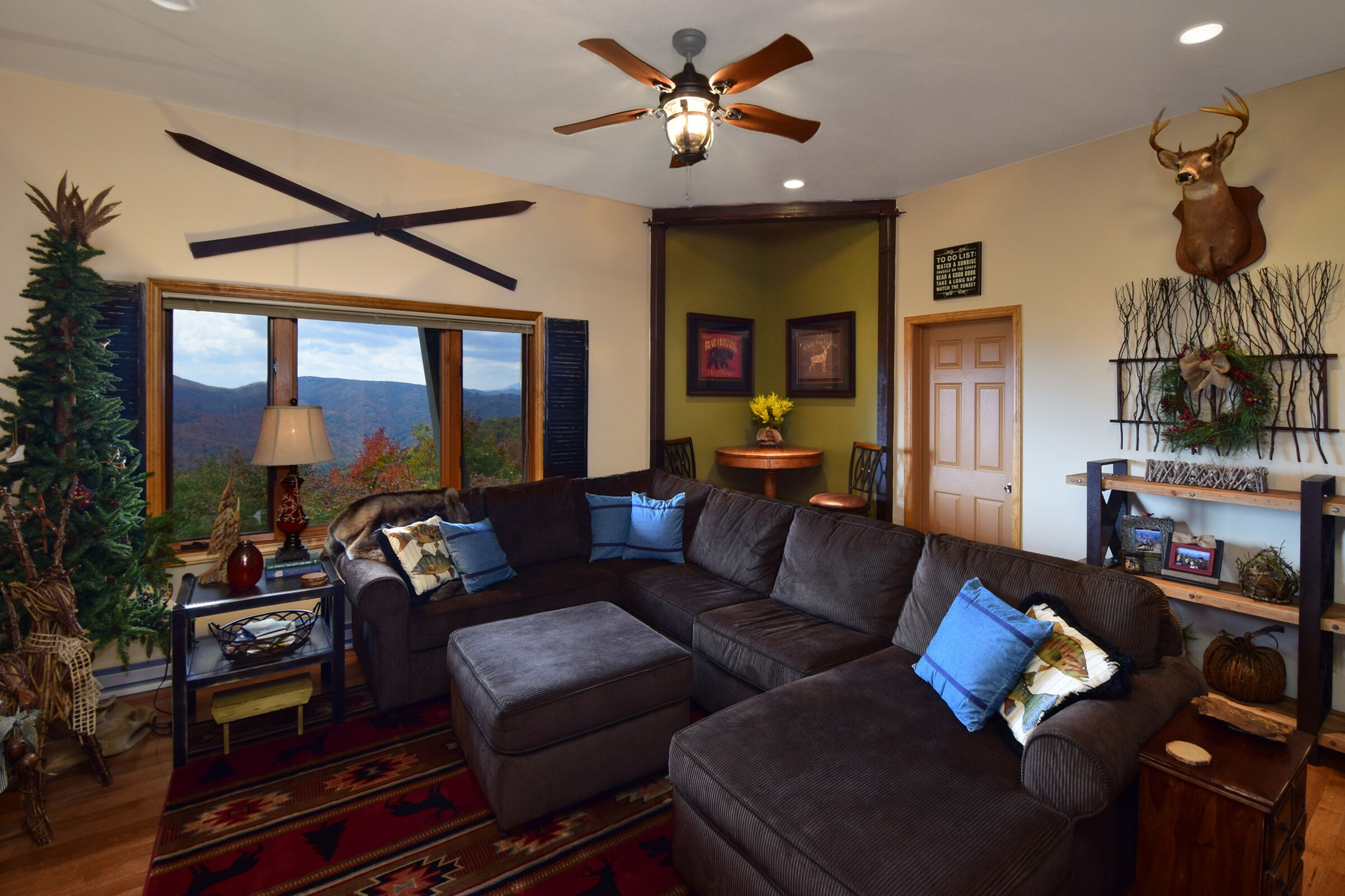 Smart TV, fireplace, books