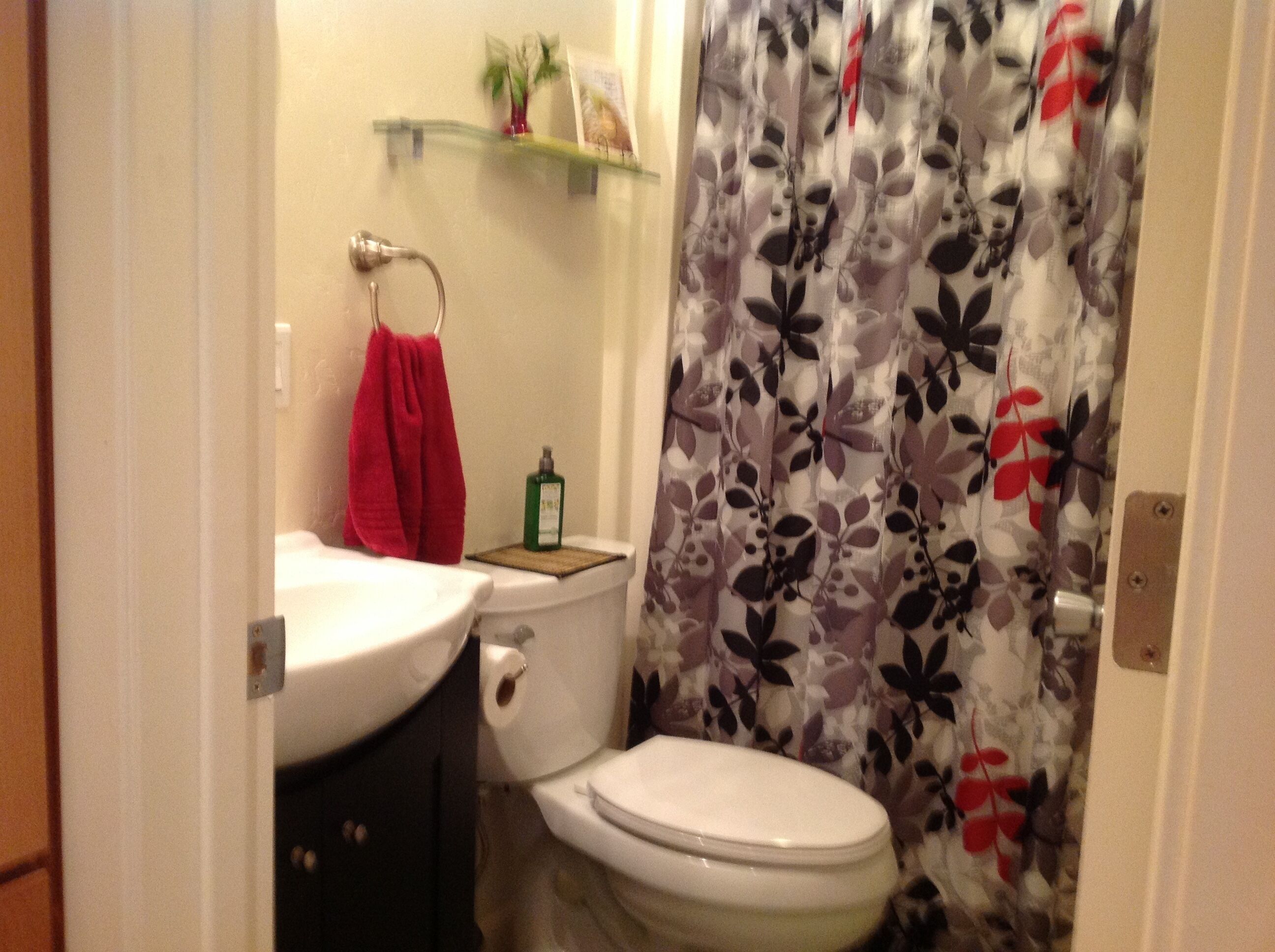 Charming Creek Side Studio Near Lakes, Rivers, Downtown