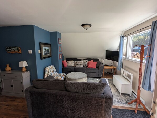 TV connectée, cheminée, lecteur de DVD, livres