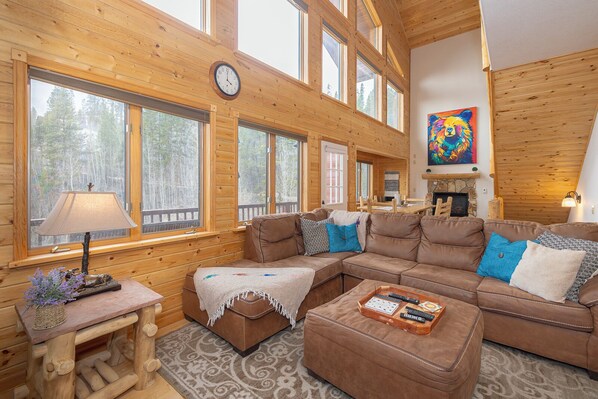 TV, fireplace, DVD player, video library