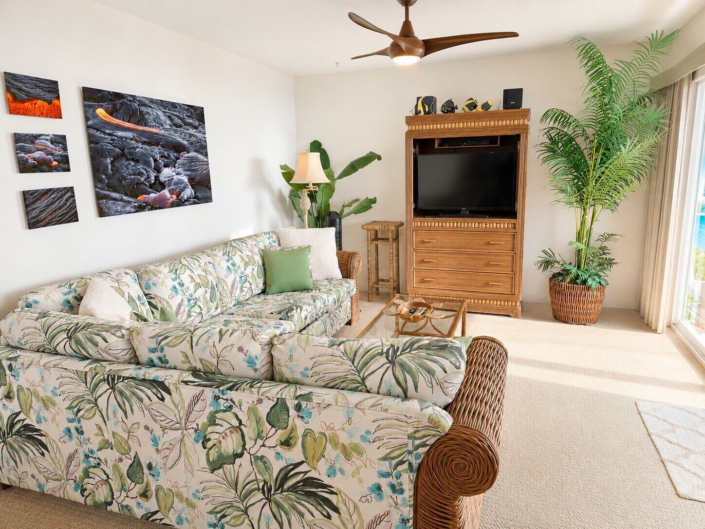A living room with a sofa, a television, a ceiling fan, and a potted plant.