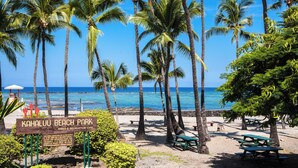Ein Strandpark mit Palmen, Picknicktischen und einem Schild mit der Aufschrift 'Kahului Beach Park'.