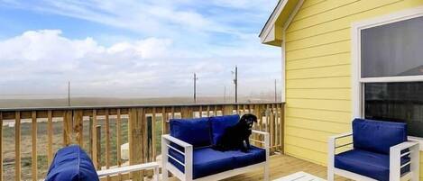A deck with blue and white furniture, a black dog, and a yellow building in the background.