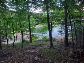 A forested area with a lake in the background.