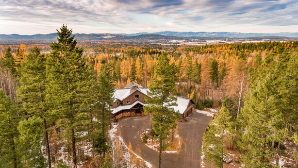 En hytte omgivet af tæt skov med frit udsyn til fjerne bjerge.