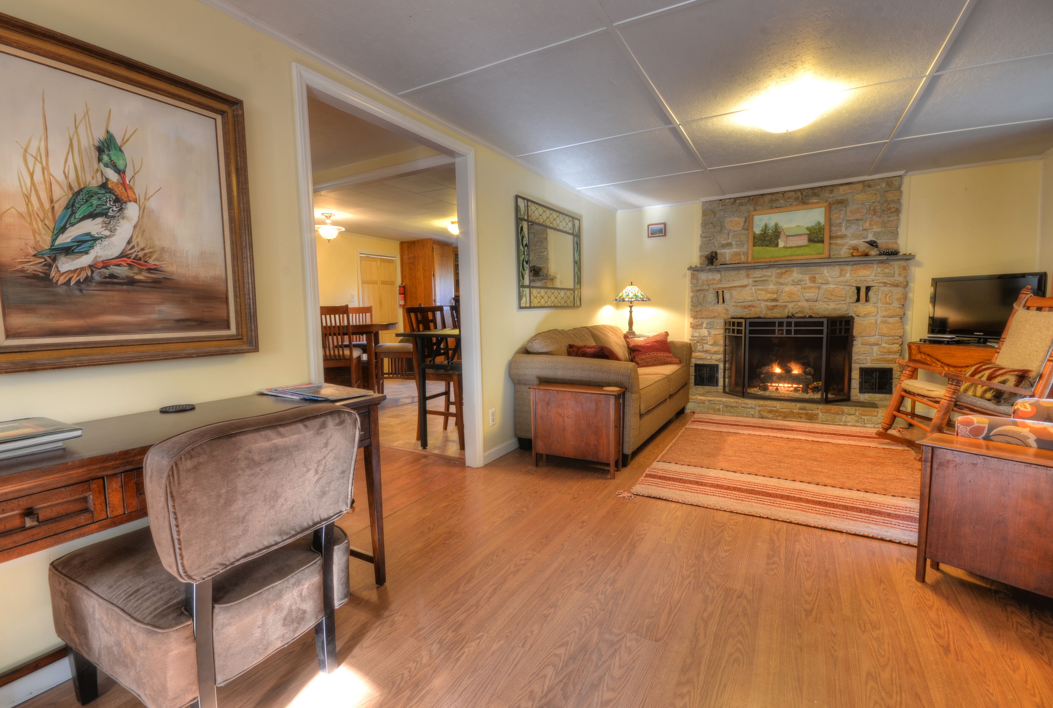 TV, fireplace, DVD player, books