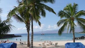 A beach with palm trees, lounge chairs, and a clear view of the ocean. - Welcome to the Beauty that is Mauna Lani Fairways Unit 1301! (Kamuela)