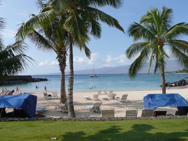 A beach with palm trees, lounge chairs, and a clear view of the ocean.