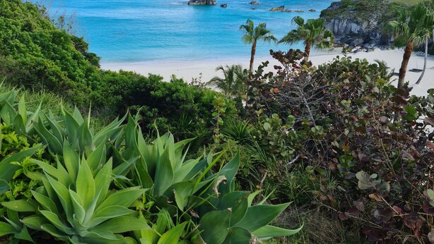 A tropical beach with clear blue waters, a rocky outcrop, and lush greenery. - Panoramic Private Beachfront Home with Breathtaking Views (Southampton)