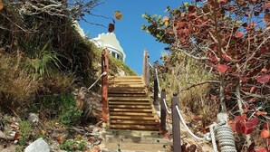 A wooden staircase leading to a building with a dome-shaped roof, surrounded by trees and vegetation. - Panoramic Private Beachfront Home with Breathtaking Views (Southampton)