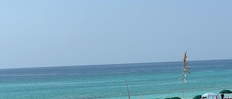 Playa en los alrededores y camastros