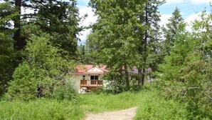 Ein unbefestigter Weg führt zu einem Haus, das von dichtem Grün und hohen Bäumen umgeben ist.