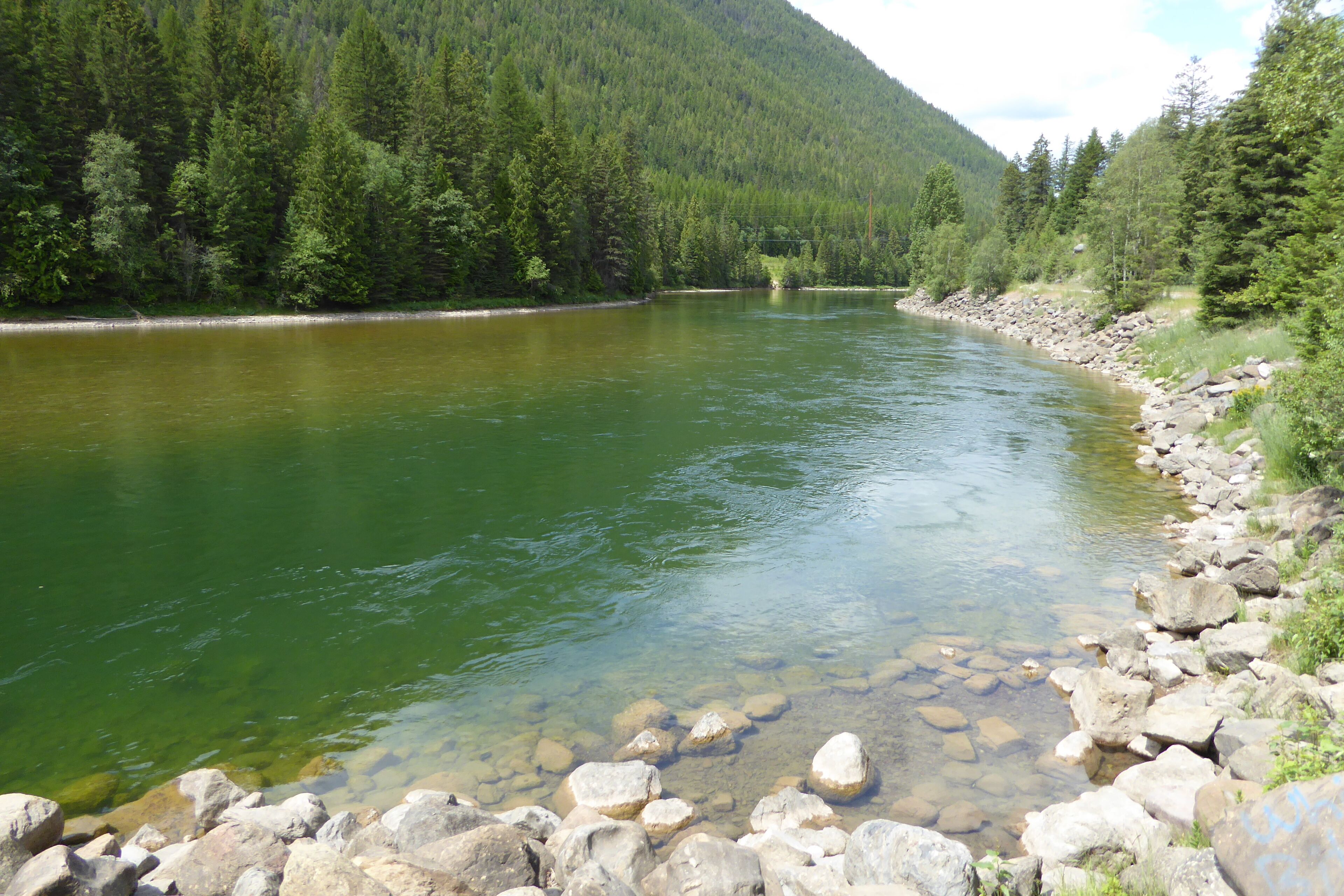 A river with clear water, surrounded by a forested hillside and rocky riverbank.