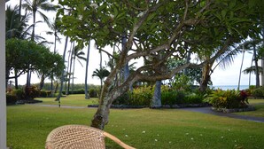 A garden with a wicker chair, palm trees, and a pathway. - Peaceful Ocean View. Ground Floor. Classy, clean and quiet. (Kaunakakai)