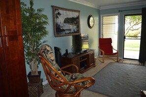 Smart TV, reproductor de DVD, libros y biblioteca musical 