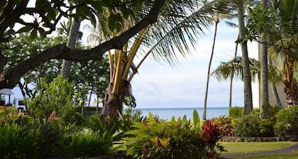 Peaceful Ocean View. Ground Floor. Classy, clean and quiet.