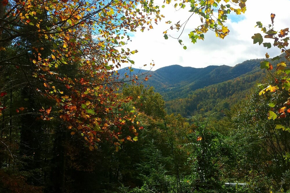 3BD/3BA Magnificent Views of Balsam Mountain
